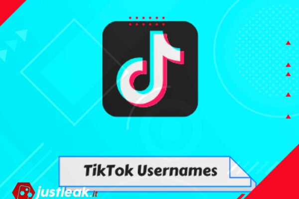 Kullanıcı Adını Değiştirme Özelliği TikTok